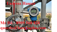 Cảm biến đo lường Endress Hauser